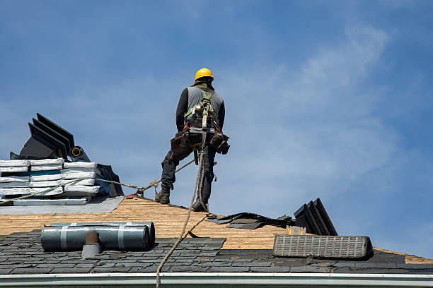 Professional Gutter Installation technician working in Alexandria, MN